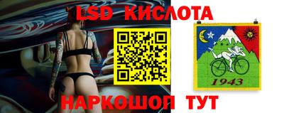 стаф Кингисепп