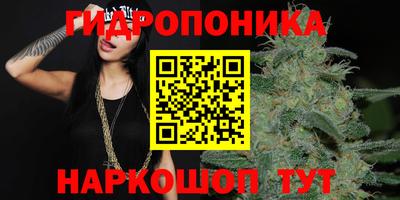 гидра Кимры