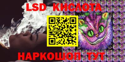 стаф Кингисепп