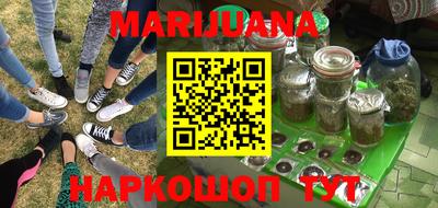 стаф Кингисепп