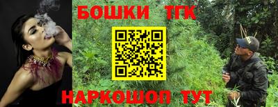 стаф Кингисепп