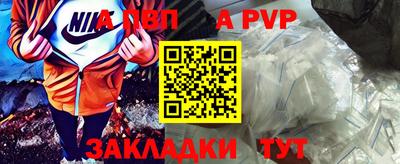 стаф Кингисепп