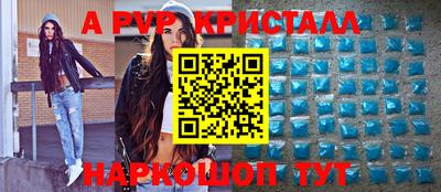 стаф Кингисепп